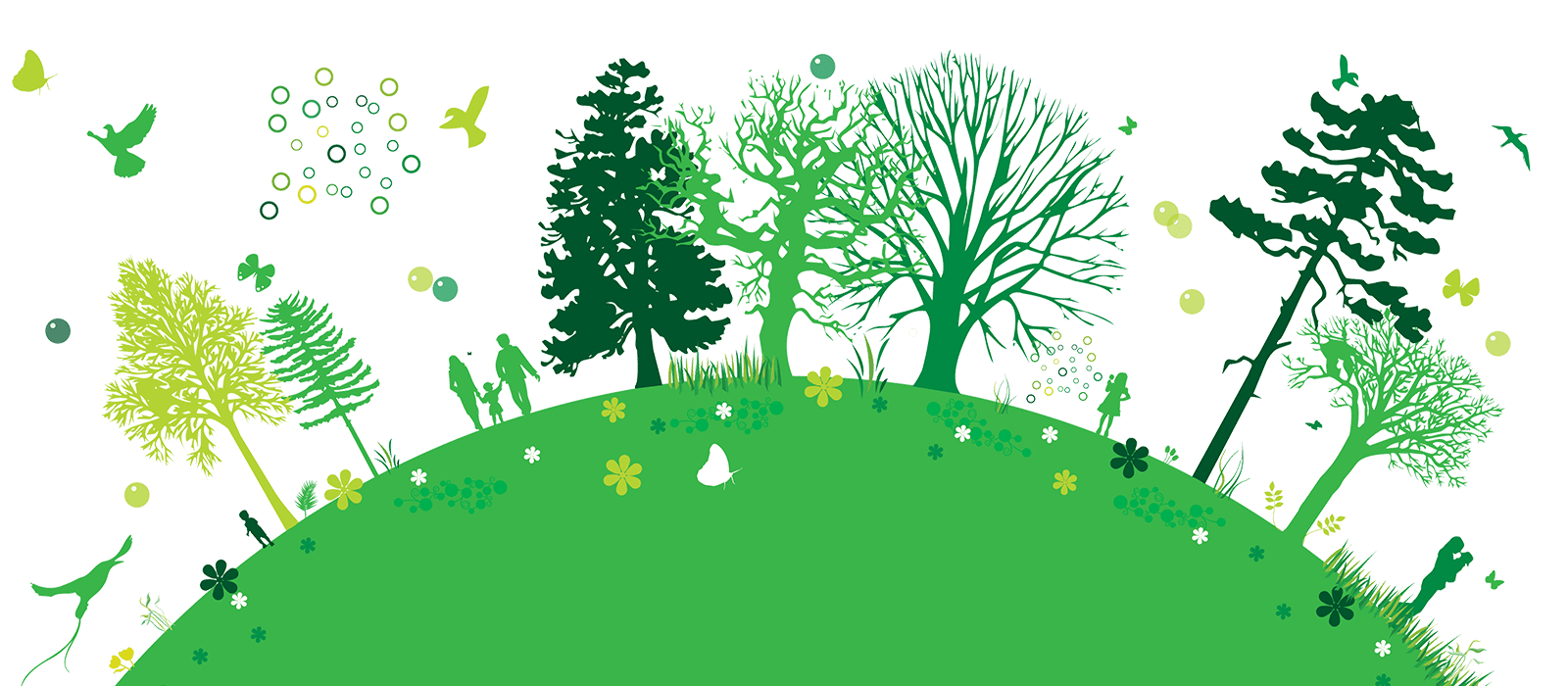 Green Food Packaging Services